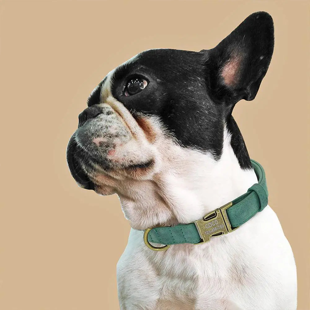 Personalized Leather Dog Collars Engraved For Dogs