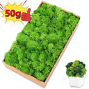 Realistic Artificial Green Moss for Indoor Outdoor Crafts
