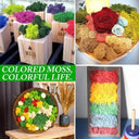 Realistic Artificial Green Moss for Indoor Outdoor Crafts