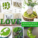 Realistic Artificial Green Moss for Indoor Outdoor Crafts