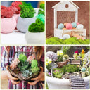 Realistic Artificial Green Moss for Indoor Outdoor Crafts