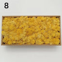 Realistic Artificial Green Moss for Indoor Outdoor Crafts