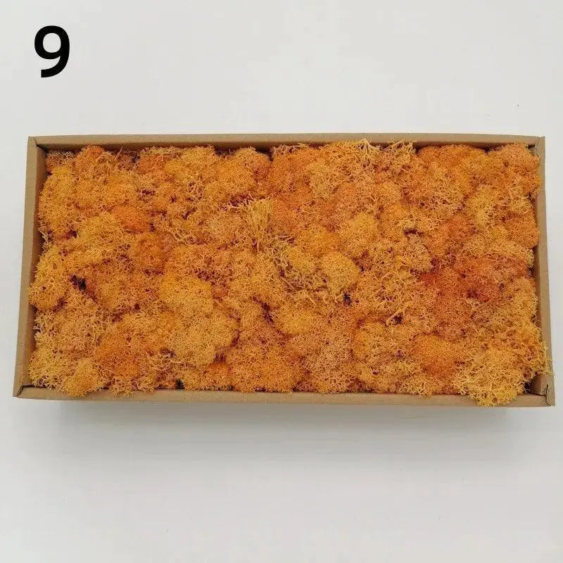 Non-Toxic Moss for Crafters Home Decor — product view 15