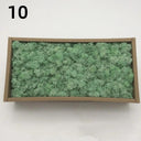 Realistic Artificial Green Moss for Indoor Outdoor Crafts