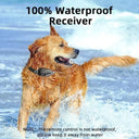 Waterproof Remote Dog Collar For Training