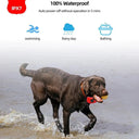 Gentle Dog Training Collar for Behavior