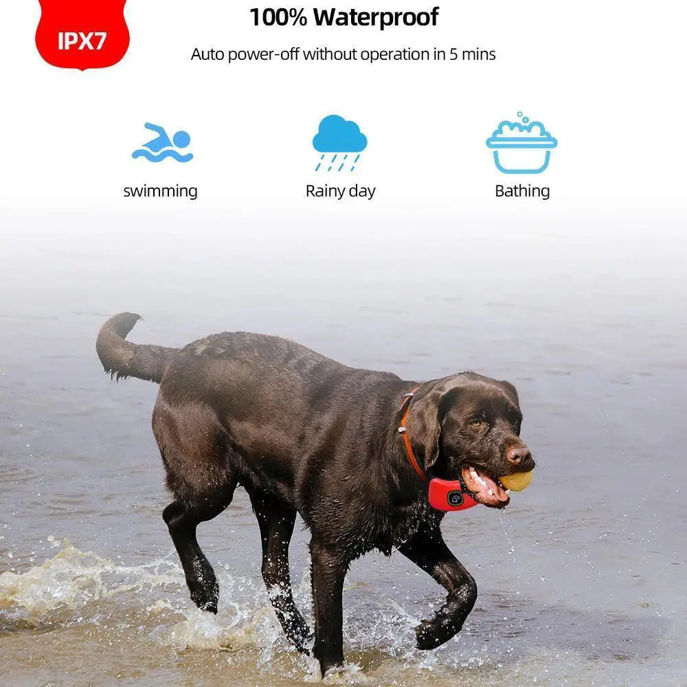 Ultimate Dog Training Collar For Behavior Correction
