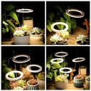 Angel Ring Grow Light for Indoor Plants