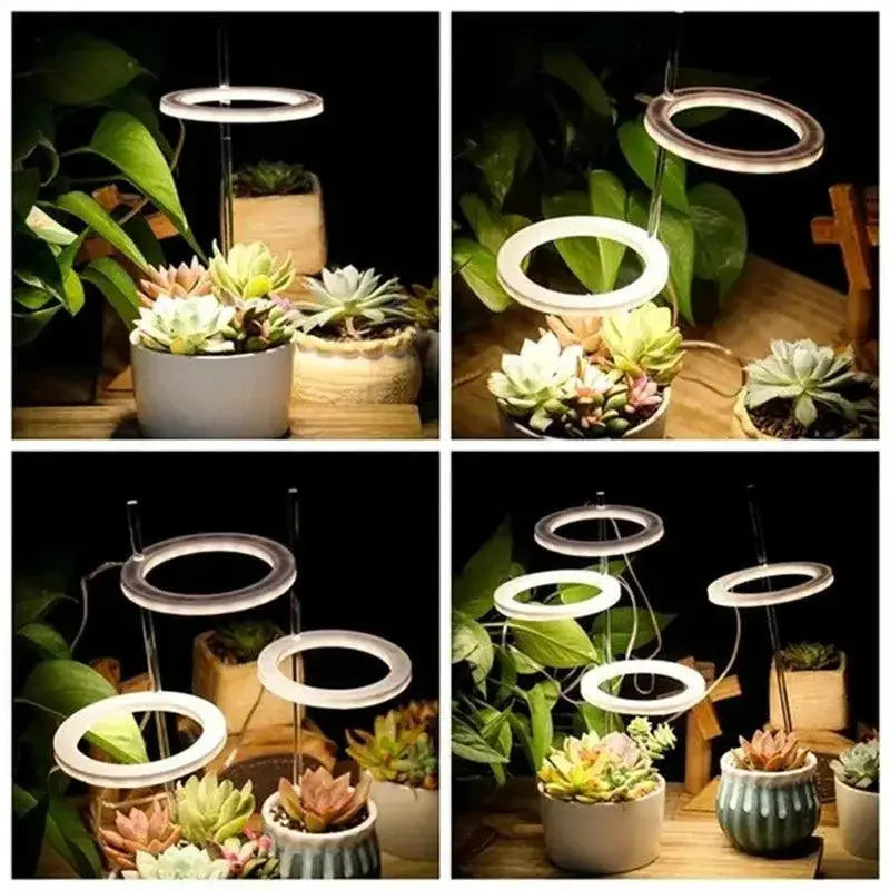 Angel Ring LED Grow Light Full Spectrum Plant Growth Booster