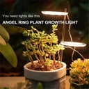 Angel Ring Grow Light for Indoor Plants