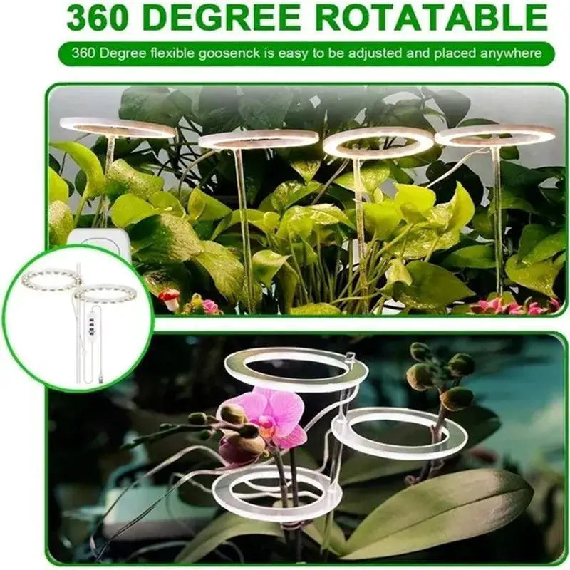 Angel Ring LED Grow Light Full Spectrum Plant Growth Booster