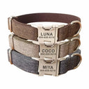 Safer Nylon Dog Collar for Daily Walks