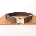 Safer Nylon Dog Collar for Daily Walks
