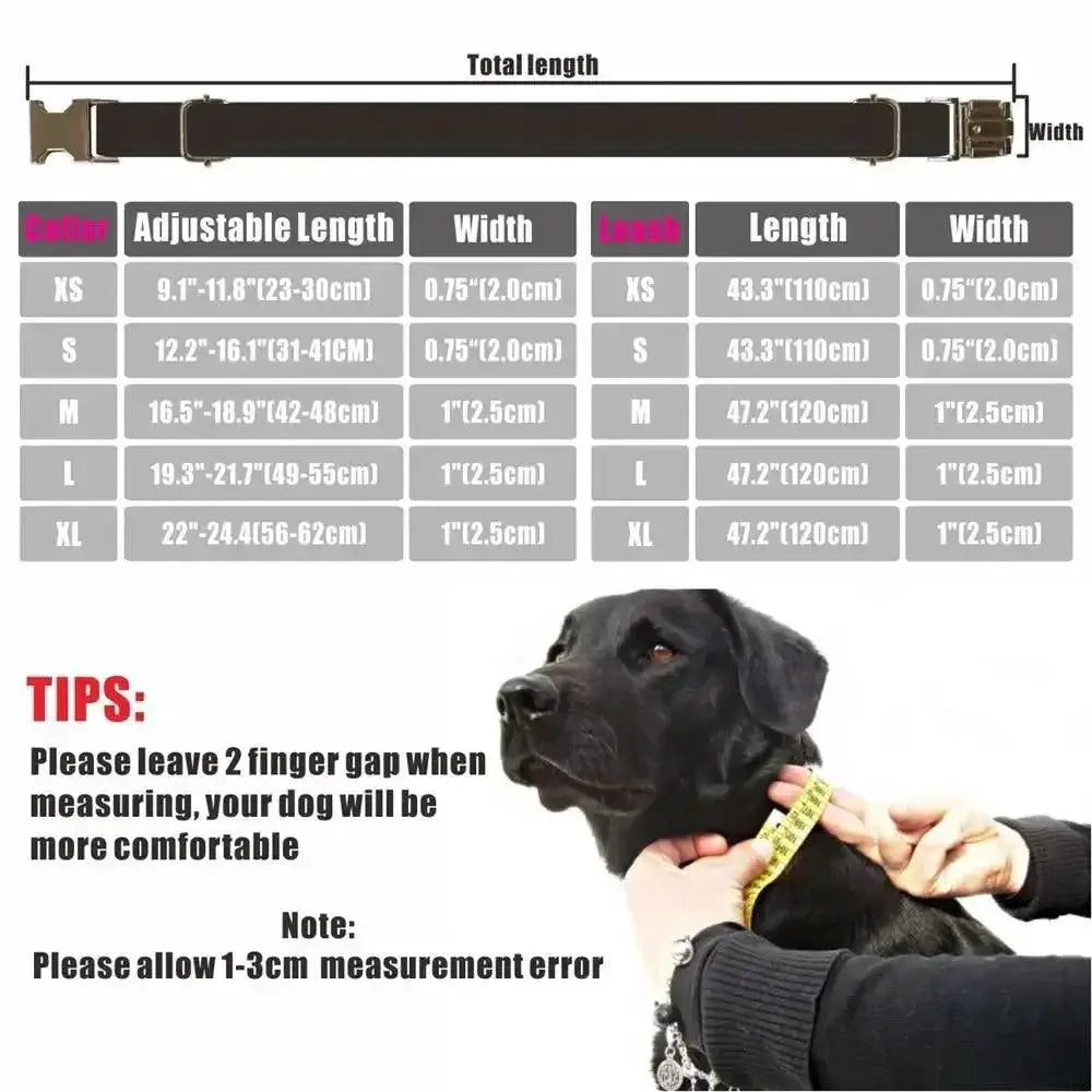 Personalized Nylon Dog Collar With Free Engraving Set
