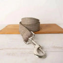 Safer Nylon Dog Collar for Daily Walks