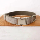 Safer Nylon Dog Collar for Daily Walks
