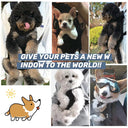 PetVoyage Mesh Dog Carrier Backpack For Dogs And Cats