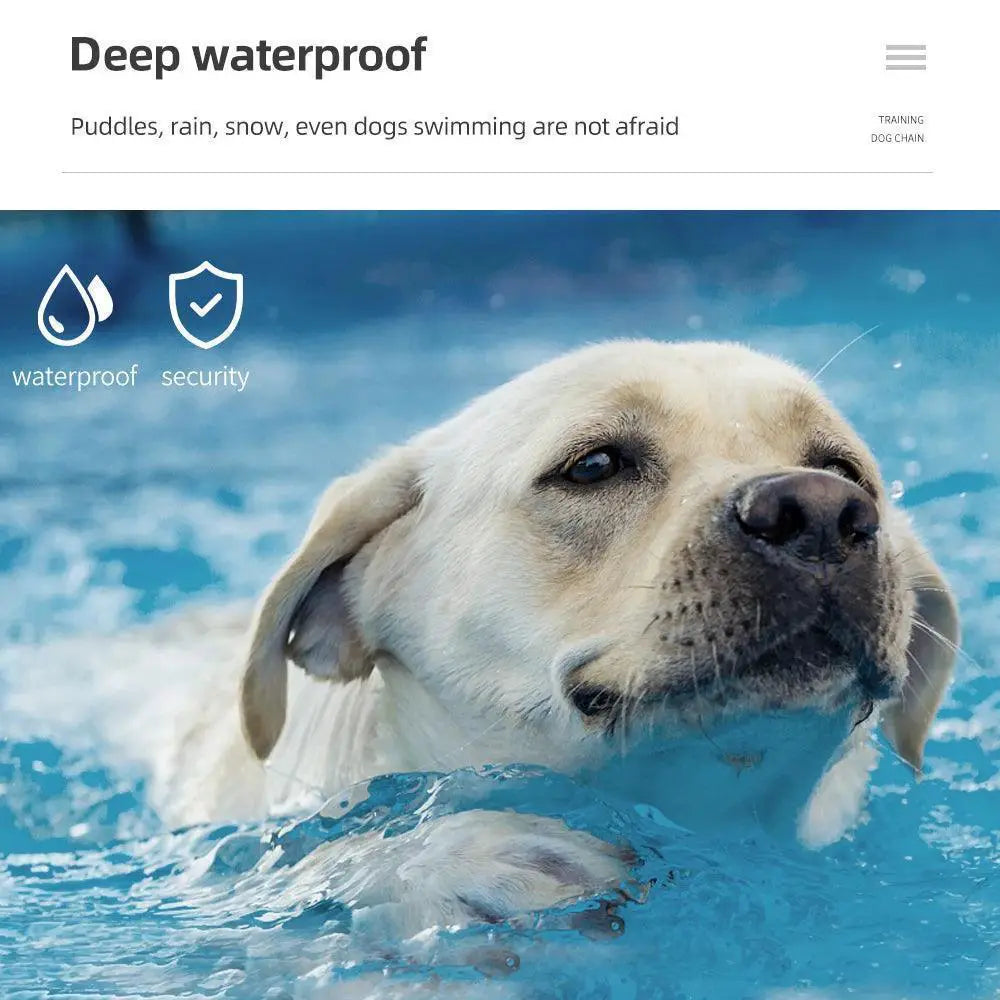 Waterproof Dog Training Collar With Long Range Technology