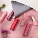 HANDAIYAN Matte Lipstick And Lip Gloss Duo Natural Beauty