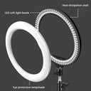 10-Inch Led Ring Light For Stunning Photos And Videos