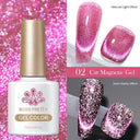 9D Cat Magnetic Gel Nail Polish Pink Purple UV Set