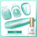 9D Cat Magnetic Gel Nail Polish Pink Purple UV Set