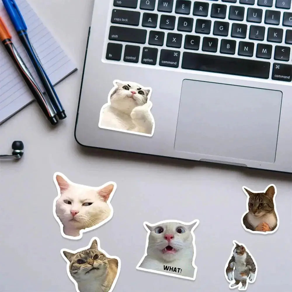 Funny Cat Meme Stickers Pack For Vibrant DIY Decor