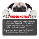 Engraved Nylon Pet Collar for Safe ID