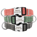 Engraved Nylon Pet Collar for Safe ID