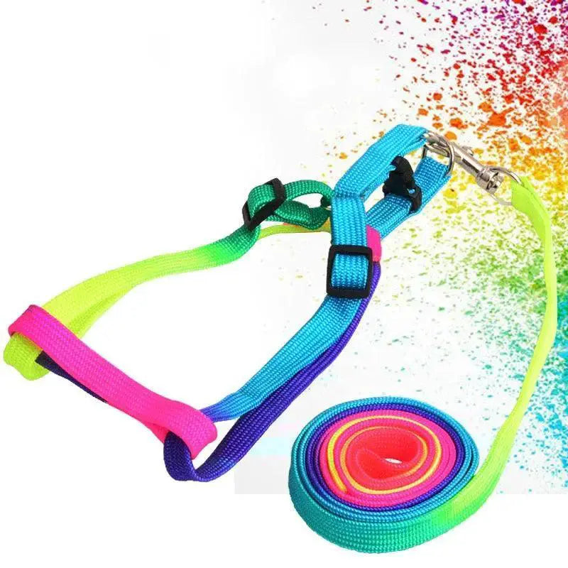 Rainbow Pet Harness Set Stylish Nylon Walking Kit for Pets