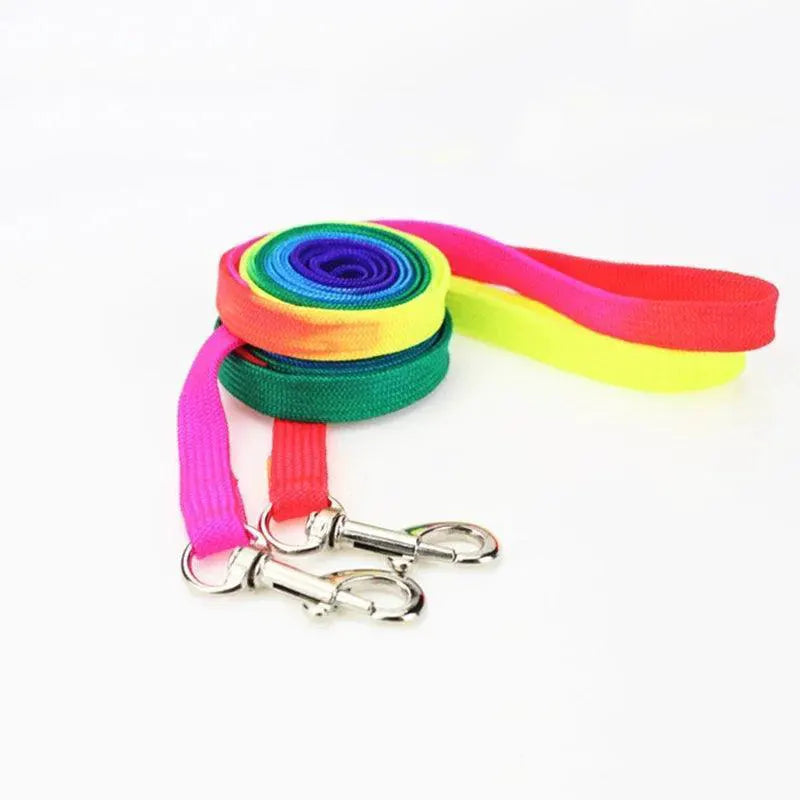 Rainbow Pet Harness Set Stylish Nylon Walking Kit for Pets