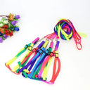 Rainbow Pet Harness Set Stylish Nylon Walking Kit for Pets