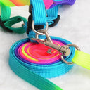 Rainbow Pet Harness Set Stylish Nylon Walking Kit for Pets