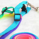 Rainbow Pet Harness Set Stylish Nylon Walking Kit for Pets