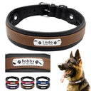 Personalized Dog Collar for Large Breeds