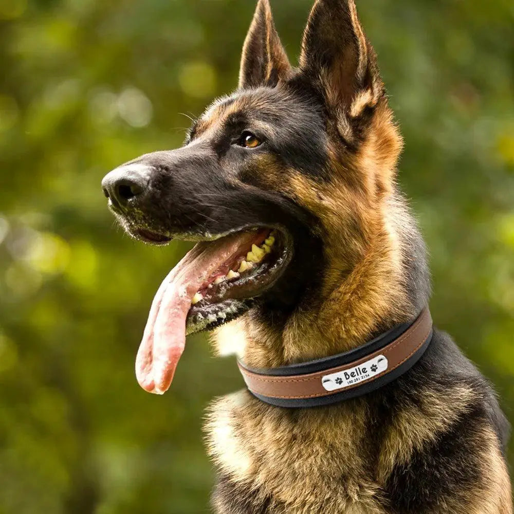 Luxury Personalized Leather Dog Collar For Large Breeds