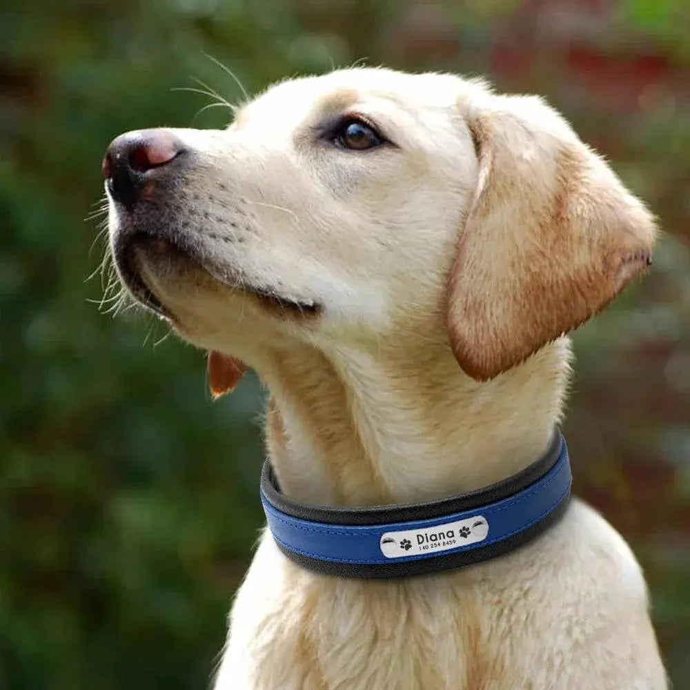 Luxury Personalized Leather Dog Collar For Large Breeds