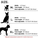 Personalized Dog Collar for Large Breeds