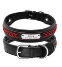 Personalized Dog Collar for Large Breeds