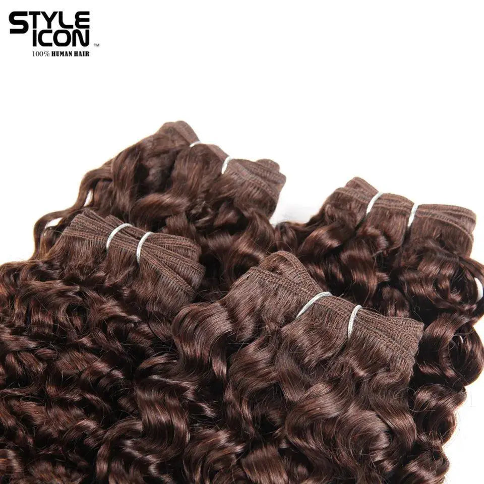 Luxurious Brazilian Curly Hair Extensions Bundle Color 4