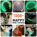 DOGCARE LC01 LED Dog Collar for Night Safety and Visibility