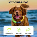 DOGCARE LC01 LED Dog Collar for Night Safety and Visibility