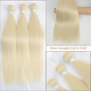 Hair Extensions for Blondes Heatproof