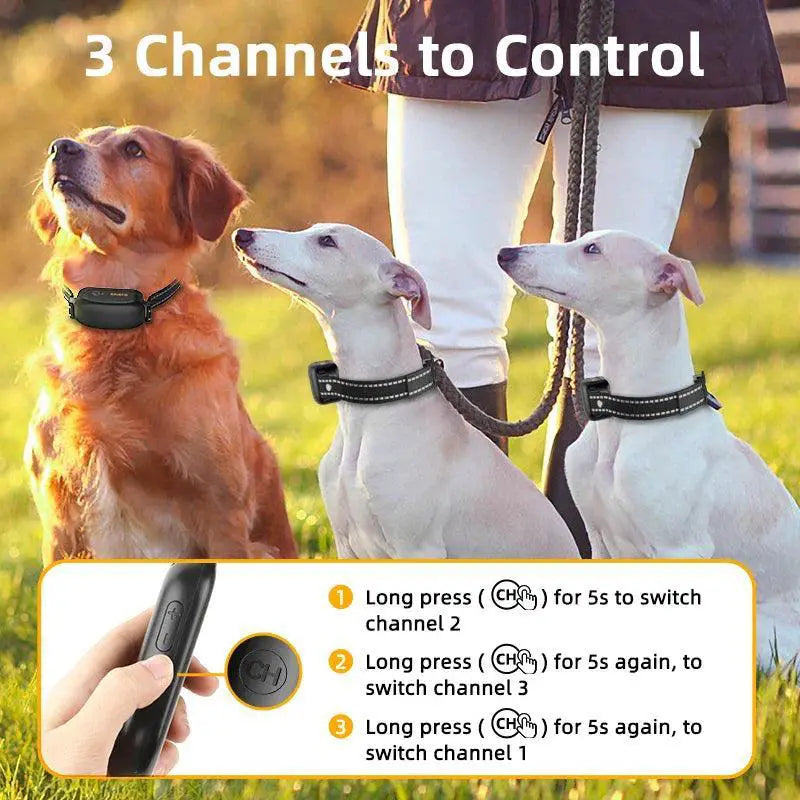 Waterproof Electric Dog Training Collar Vibrating Shock