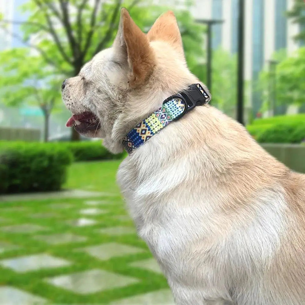 Floral Print Adjustable Dog Collar for All Breeds and Sizes
