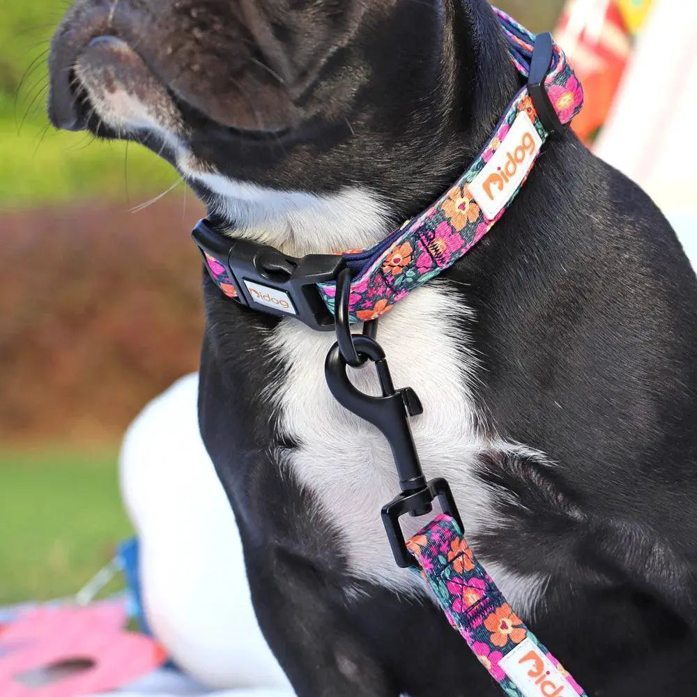 Floral Print Adjustable Dog Collar for All Breeds and Sizes