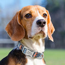 Adjustable Personalized Pet Collar Safe And Stylish