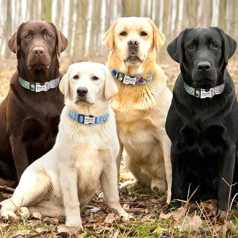 Adjustable Personalized Pet Collar Safe And Stylish