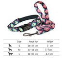 Reflective Nylon Dog Collar Set For Personalized Safety