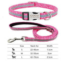 Reflective Nylon Dog Collar Set For Personalized Safety